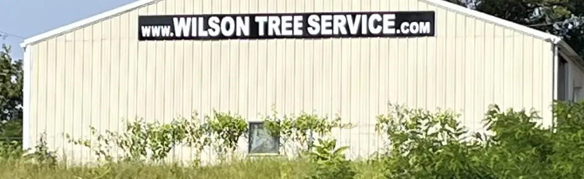 Contact Wilson Tree Service for Tree Services
