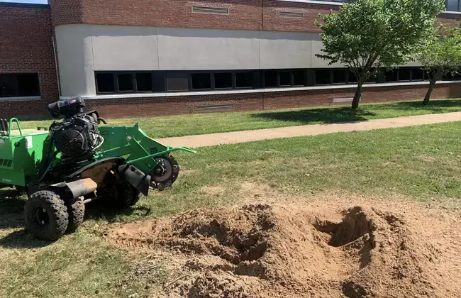 Stump Grinding and Removal in Alton IL