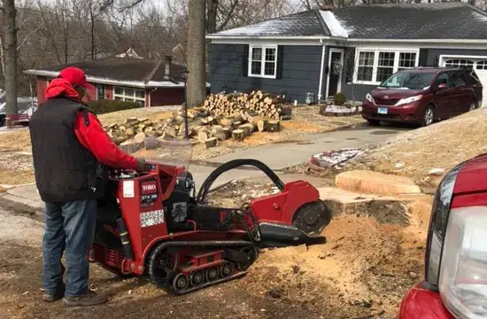 Stump Grinding and Removal Services In Alton IL