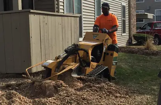 Stump Grinding and Removal Services in Godfrey Illinois