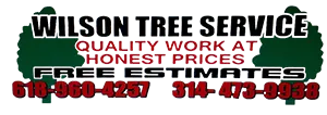 Wilson Tree Service