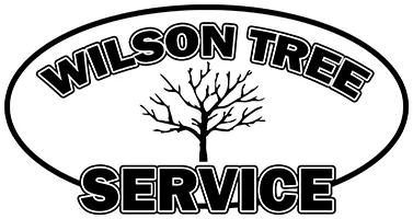 Wilson Tree Service Logo Large