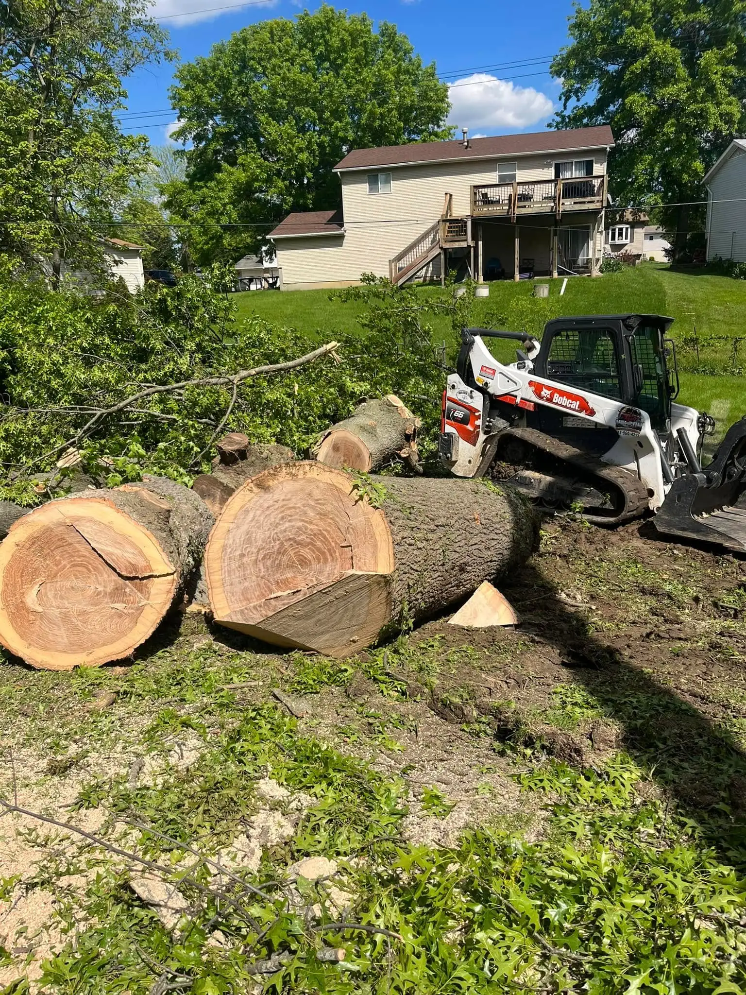Residential Tree Removal Service